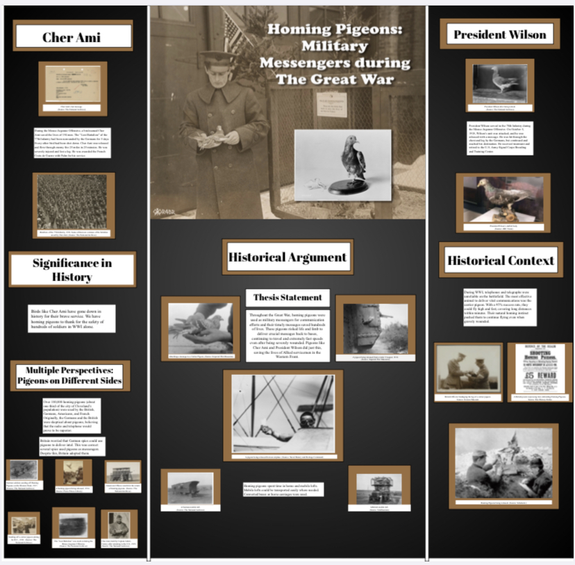 national history day homing pigeons in the military