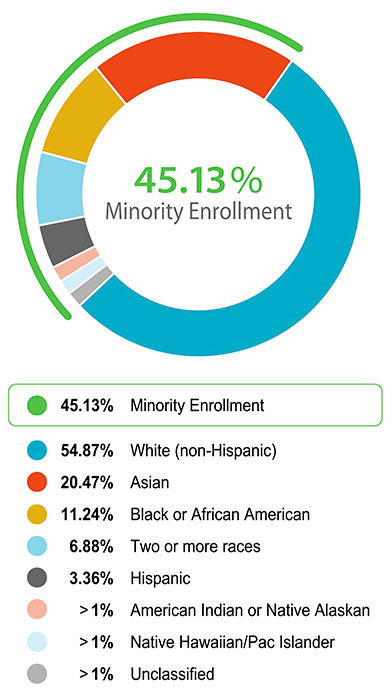 menlo enrollment diversity chart
